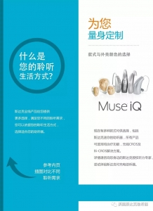 斯达克妙系列（IQ）助听器